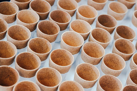 Australian Financial Review report on Good-Edi